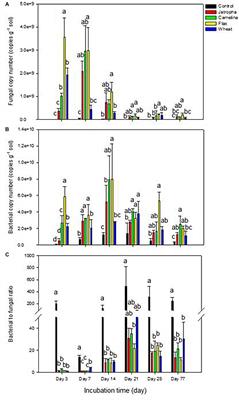 Fungal Community Structural and Microbial Functional Pattern Changes After Soil Amendments by Oilseed Meals of Jatropha curcas and Camelina sativa: A Microcosm Study